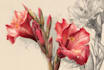 create professional flower or plant digital art or line art