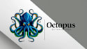 design a best quality octopus logo