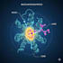 teach molecular docking step by step using autodock and in silico tools