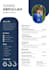 design a professional resume CV using canva