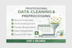 clean, fix, and organize messy data in excel or CSV and data entry