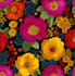 design seamless pattern textile prints pattern design