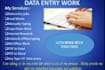 do expert data entry, data cleaning, and data managemen