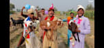 wish african happy birthday video or african happy birthday wishes
