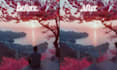 remove unwanted objects from photos professionally