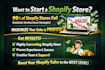 setup profitable shopify website or shopify store design