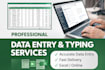 data entry copy paste web research