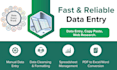 do accurate data entry copy paste and web search