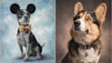 create amazing disney pet portrait