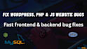 fix wordpress, PHP, javascript, HTML, CSS, jquery, and site bugs
