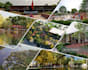 do backyard landscape design, commercial exterior   and real estate rendering