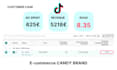 setup and manage your tiktok ads manager