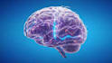 create 3d medical animation, medical explainer video and anatomy animation video