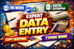 do data entry, ms word, excel accounting, copy writing
