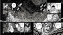 create high quality bespoke dark berserk art