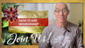 design elevated and compelling youtube thumbnails