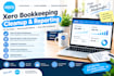 do xero cleanup and financial reporting