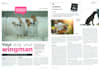 write engaging articles and blog posts