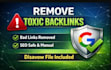 remove toxic backlinks and submit a safe google disavow file