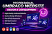 develop a professional umbraco website, cms, website development, custom website