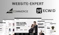 design and set up your ecwid ecommerce store