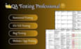 do manual QA testing and provide detailed bug reports