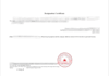 provide certified chinese translation with official seal and iso certificate