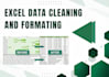 do professional data cleaning and formatting in ms excel