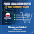 provide professional polish IT, ecommerce, and amazon allegro localization