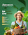 design attractive banners, posters and ads