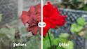 professionally enhance your photos using adobe lightroom