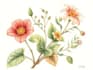 illustrate best botanical illustration