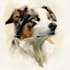 draw watercolor pet portrait