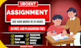write assignment work, project work for college and universities