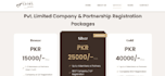 do custom website development, business websites, portfolio