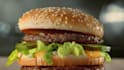 create an amazing restaurant food menu promo video