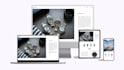 design a wix studio website with cms and dynamic content