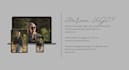 create an engaging ugc video in german