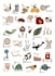 draw cute educational illustrations