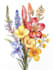 illustrate best botanical illustration