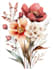 illustrate best botanical illustration