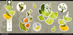 create colorful sticker designs