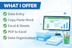 do accurate data entry, copy paste, and excel work
