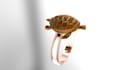 create realistic jewelry animations for your designs