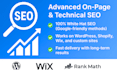 do complete onpage and technical SEO optimization of your website