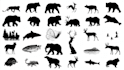 create animal and any object into silhouette vector