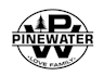 design unique pine tree logo