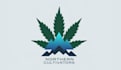 design a professional natural and environmental logo