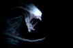 horror or fantasy monster or creature for you