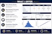 do statistical analysis using spss, stata,r and excel